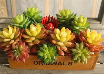 

Plastic Succulent Plants 11cm/4.33" Length Artificial Flowers Real Tou Conjoined Stone Lotus for Home Xmas Showcase Decor
