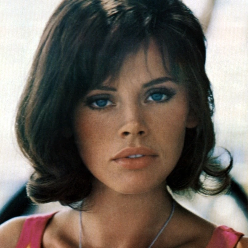 After The Fox (Aka Caccia Alla Volpe) Britt Ekland 1966 Photo Print (8 x 10)