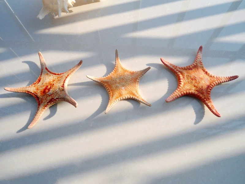 HappyKiss The deep small starfish Red sea star Flat высушенные особи реквизит для фотосъемки с пятью