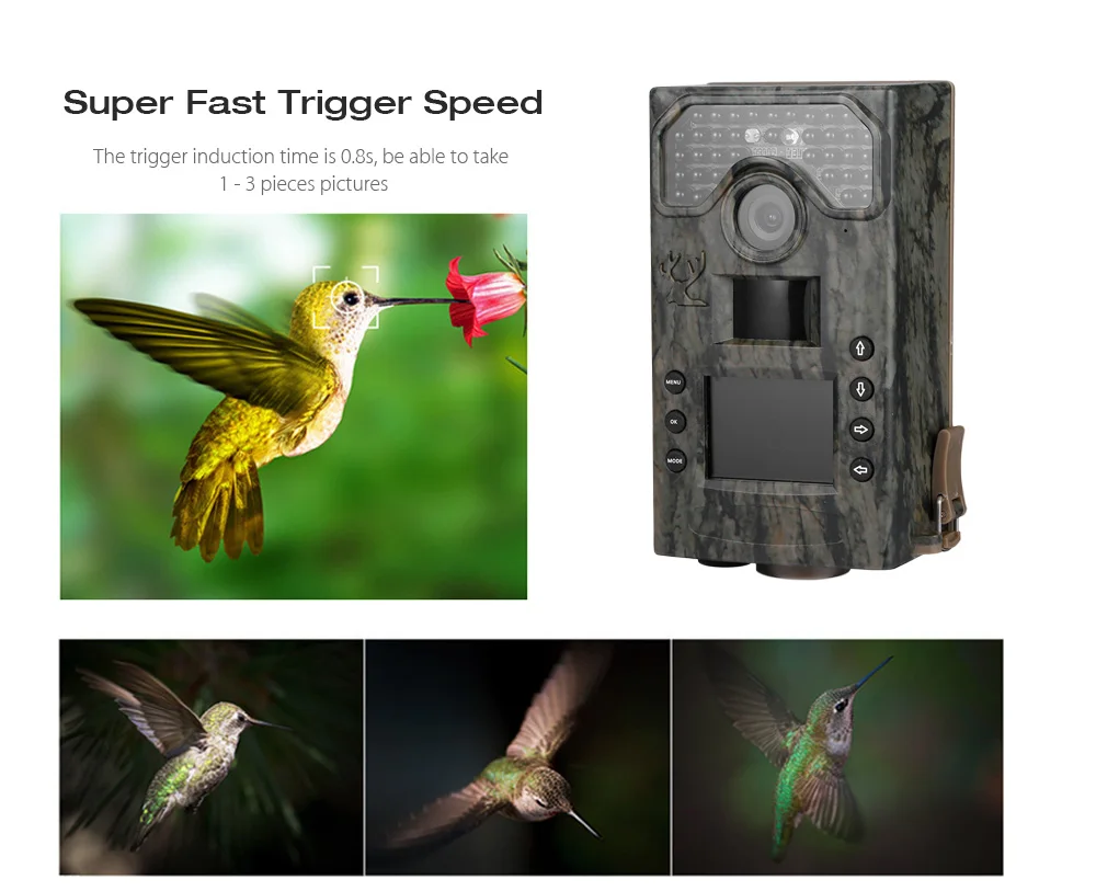 

BL280A 1080P HD Infrared Digital Trail Hunting Camera 3MP/5MP/8MP 36pcs LEDs Trail Camera Photo Traps Wildlife Camera