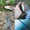 1Pcs 2.6cm 1.7g Mini minnow Swimming Hard Crankbait topwater Fishing Lures Lifelike Wobblers Peche Isca Artificial Bait tackle ► Photo 2/6