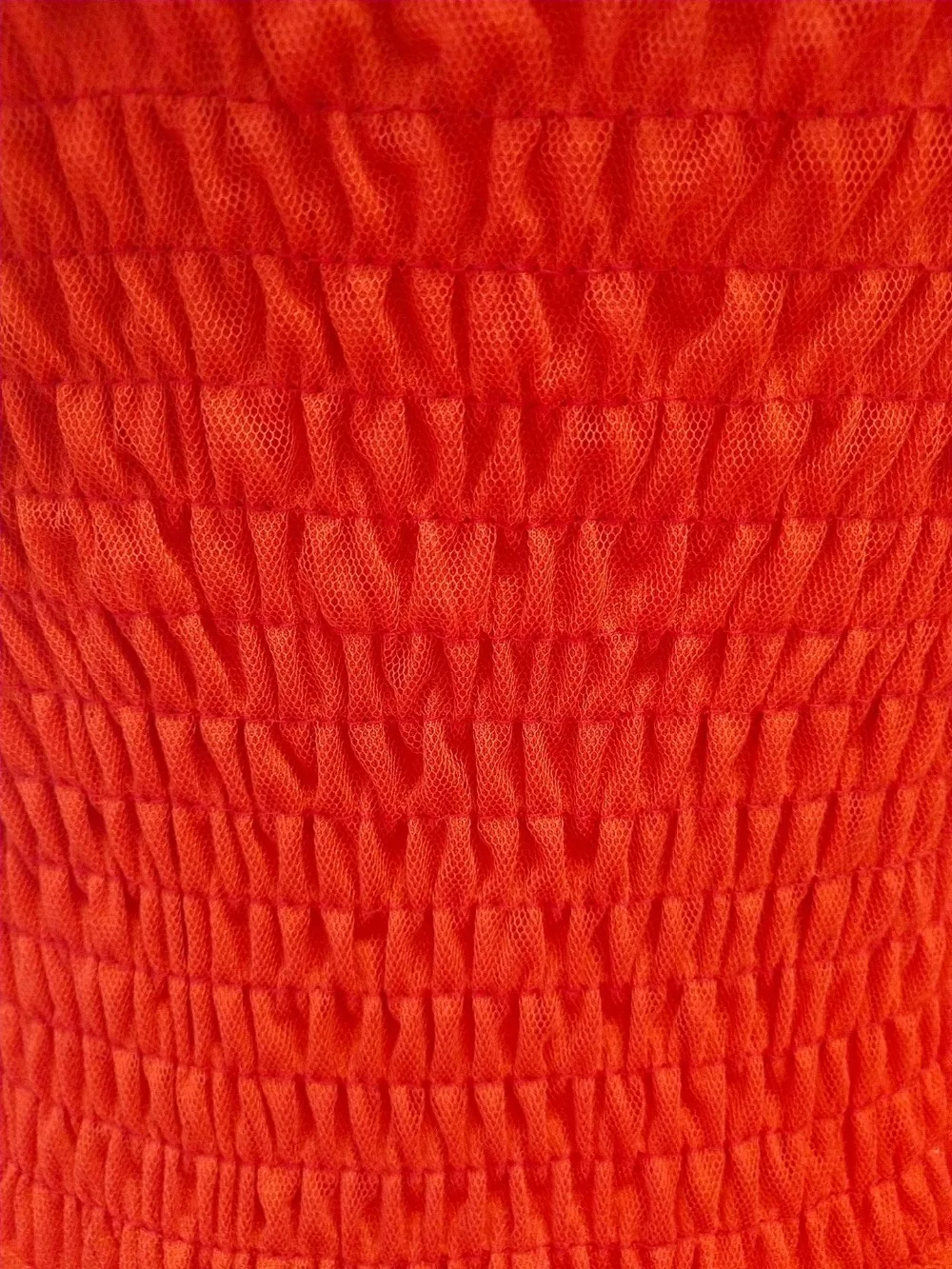 8985776625_728307966