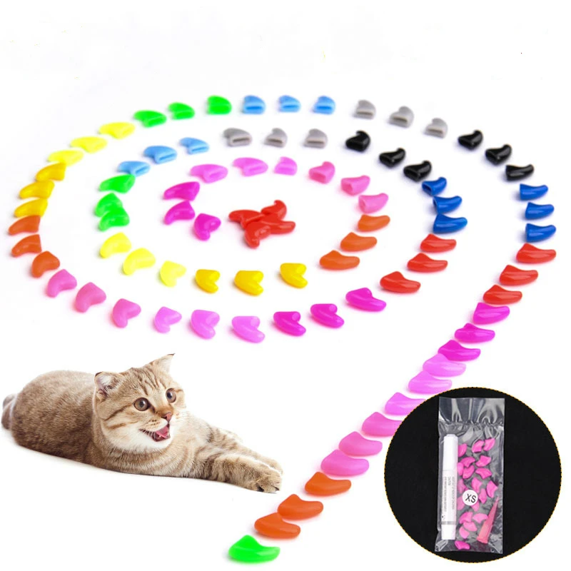 Buy Colorful Special for Cat Nail Cover Scratch