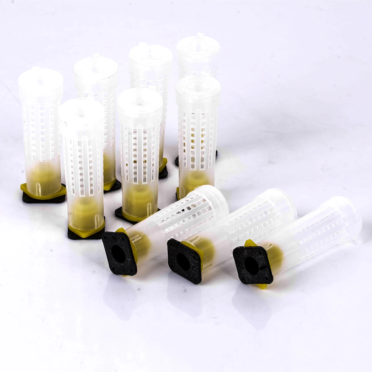 10pcs Bee Queen Bee Roller Cages + Cell Cup Holder & Fixtures Rearing Beekeeping Kit Set