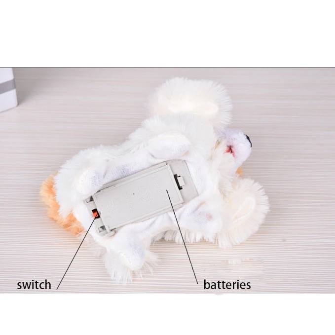 aeProduct.getSubject()