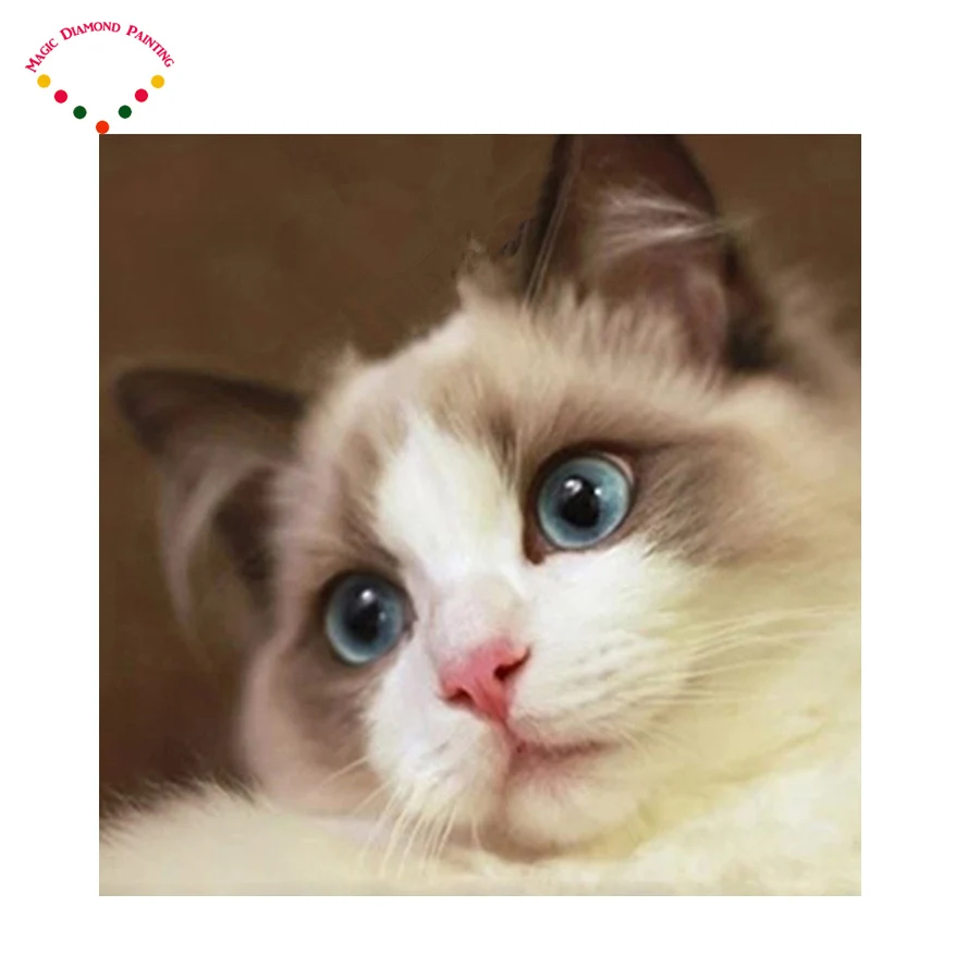 

5d Diy Diamond Painting cat Cross Stitch Golden Lily Diamond Embroidery kitten Crystal Round Diamond Mosaic Pictures Needlework
