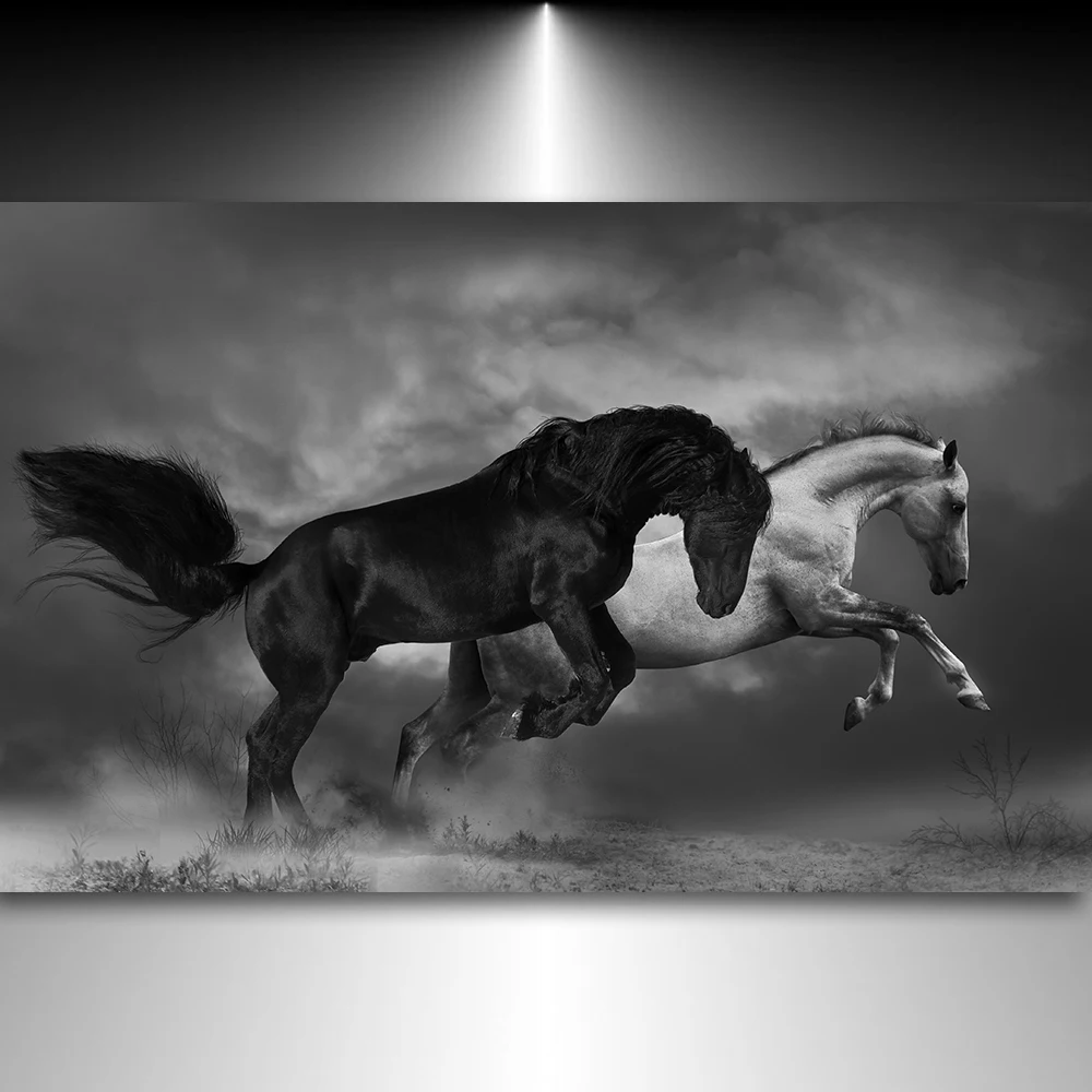 Running Horses Black And White