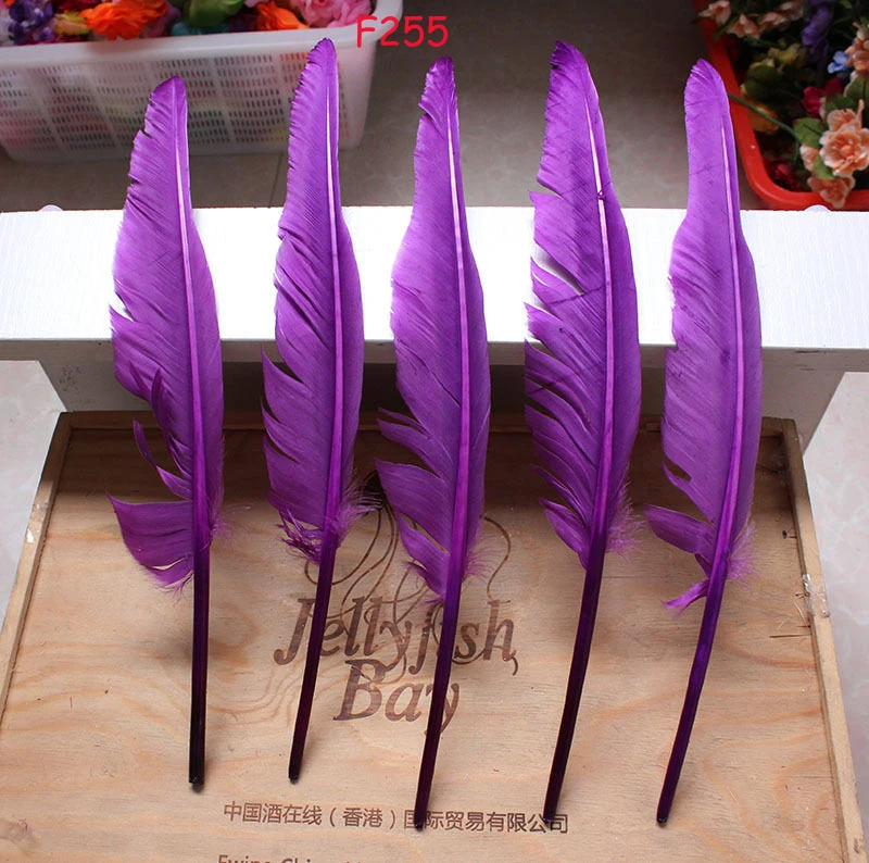

Wholesale 100pcs goose feather humpback 30-35cm/12-14inch /purple