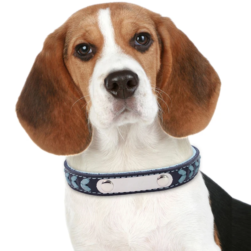 Cat Collar for Small Dog Leather Cat Puppies Collars Pet Supplies Product Adjustable for Kitten Pet Collars 6d35 Cat Collar for Small Dog Leather Cat Puppies Collars Pet Supplies Product Adjustable for Kitten Pet Collars 6d35