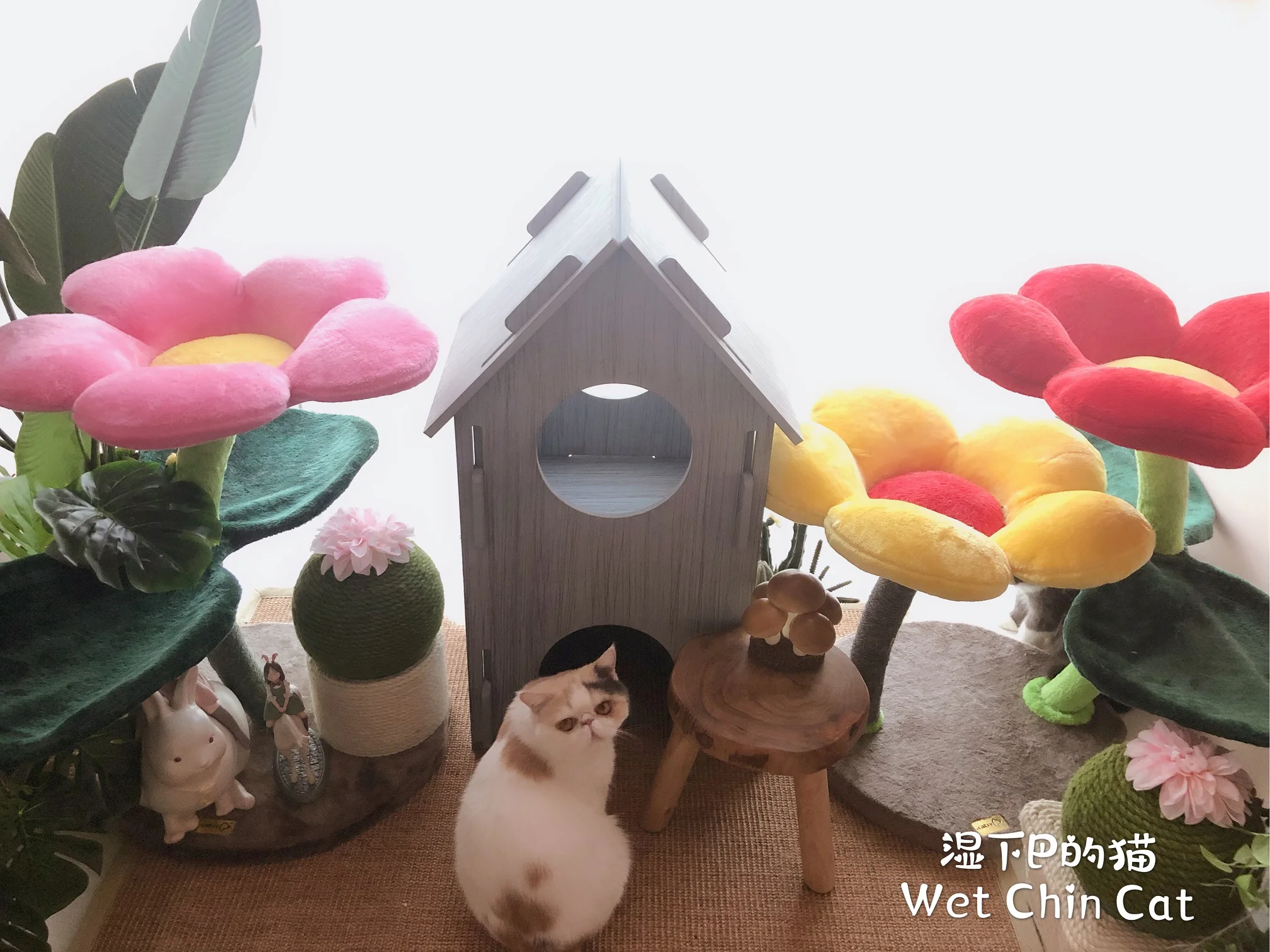 The Is Colorful Flowers Cat Tower Color Flower Tree Scratching Post So