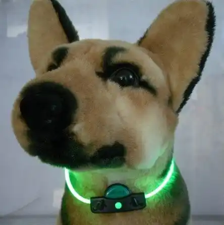 rgb dog collar