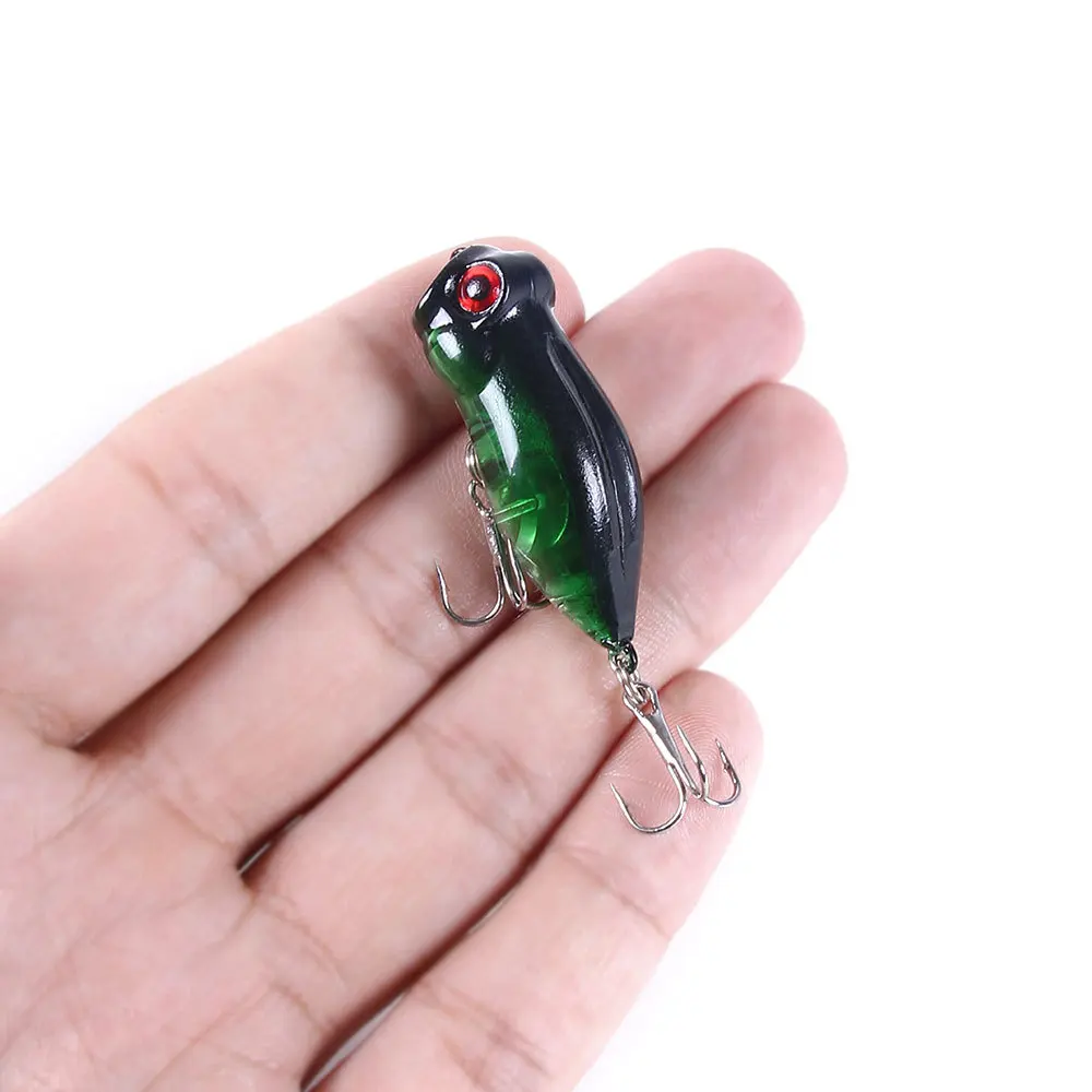 11401192546_477709903