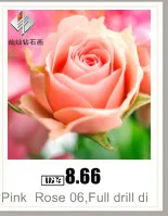 AeProduct.getSubject ()