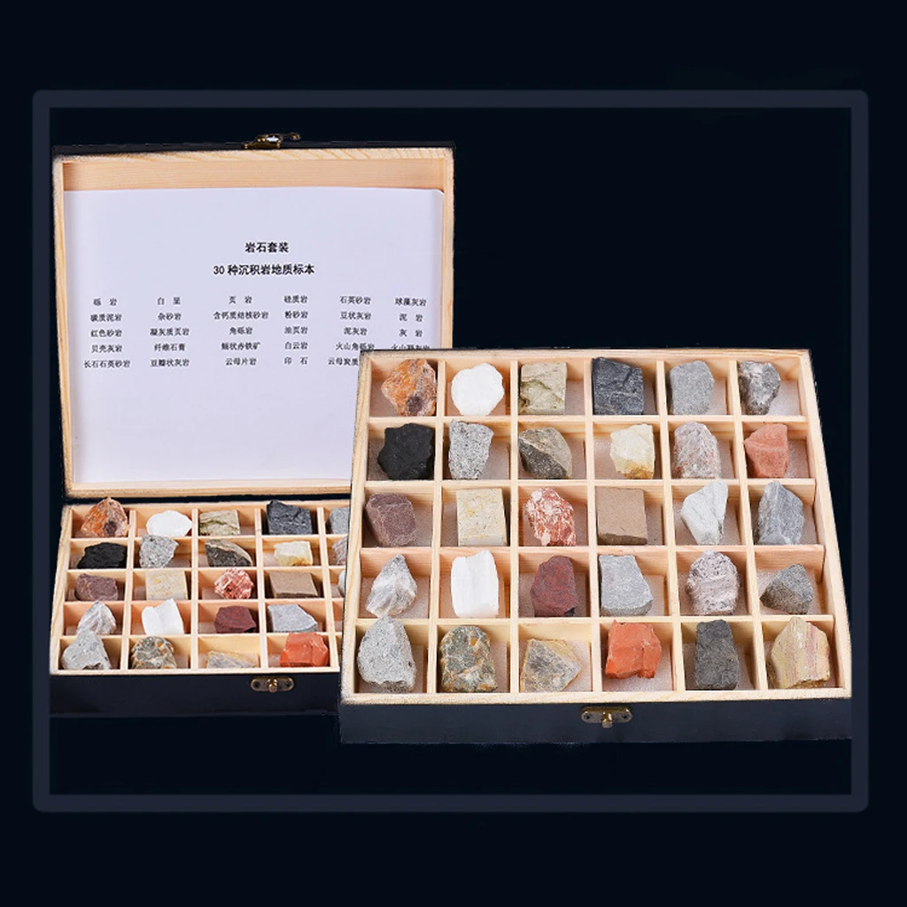 Sedimentary Rock Collection Geology Science Kit Earth Science Toy Pack