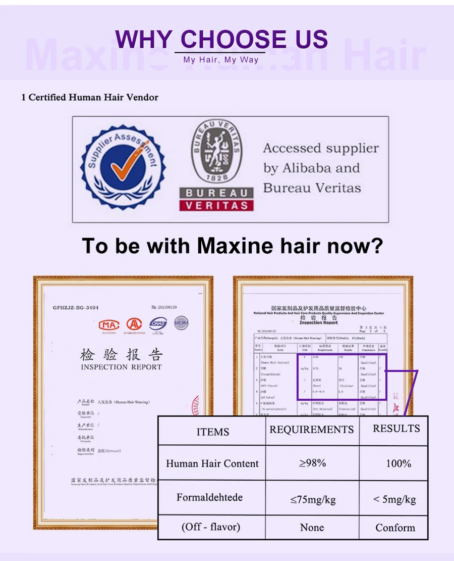 4x4 синтетическое закрытие парик прямые кружева парик прямые человеческие волосы парик бесклеевой предварительно сорвал бразильский парик Maxine парик из натуральных волос