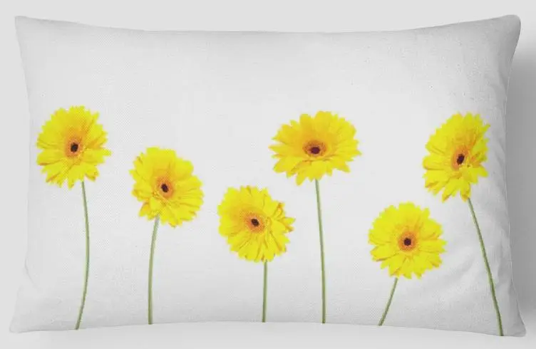 30x50 см, современный стиль, простая желтая Геометрическая подушка, маленький свежий цветок, кактус, ананас, слон, подушка, подголовник для дивана, кровати - Цвет: A7