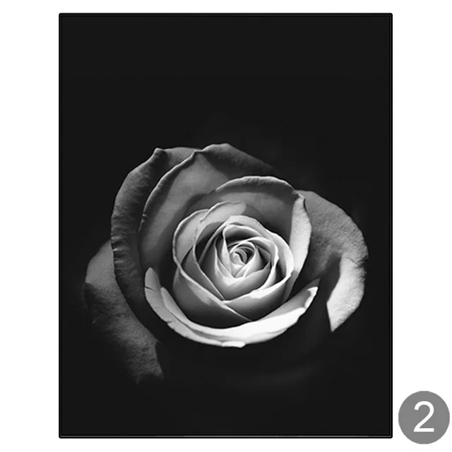 Minimalist-Black-and-White-Wall-Decor-Noble-Floral-Canvas-Art-Rose-Painting-Dew-Rose-Art-Poster.jpg_640x640 (1)