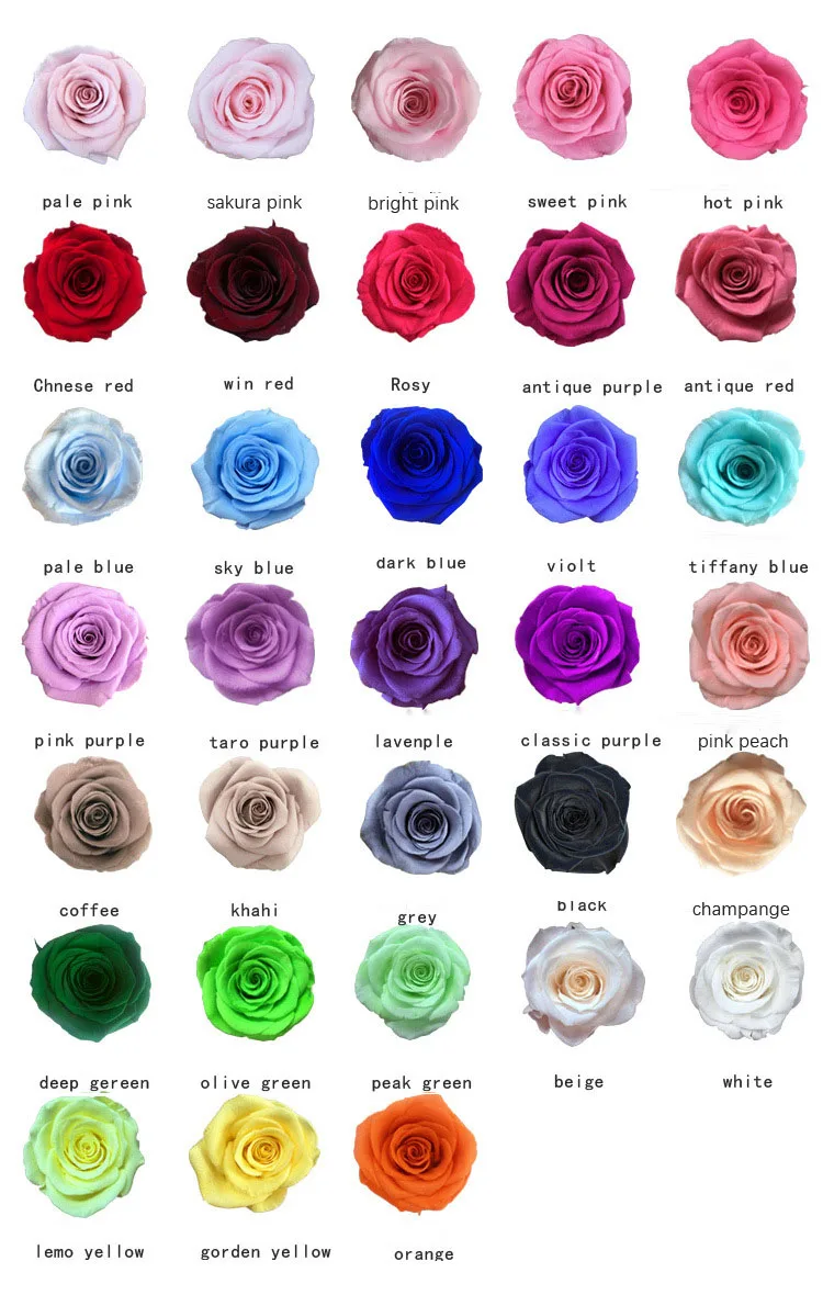rose eternal flower Presevrved flower (4)