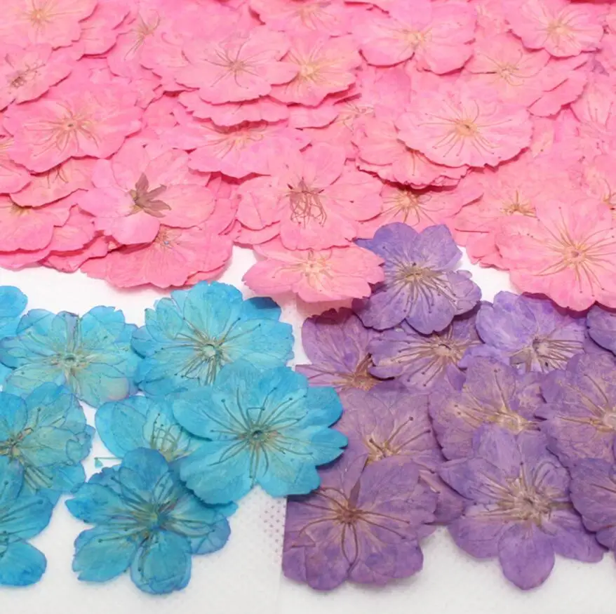 120pcs 30 35mm Cherry blossoms Pressed Dried Flower Filler For Epoxy