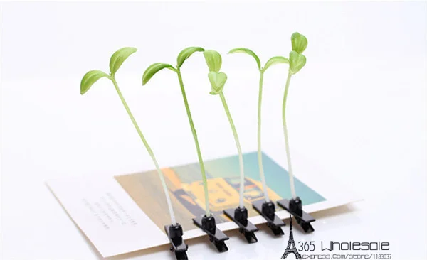 Growing Grass Hair Clip - 5