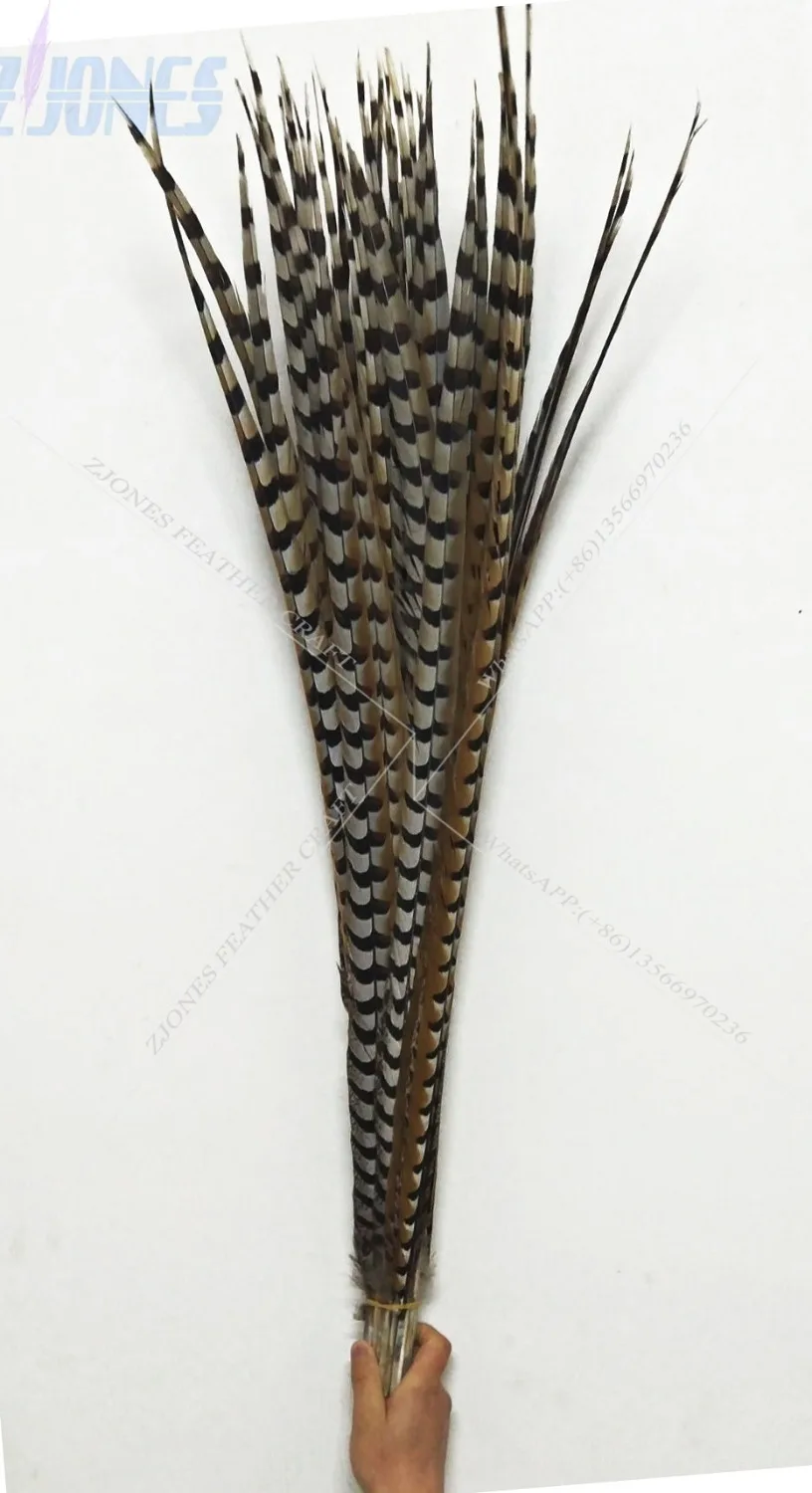 100pcs 100 110cm natrual real pheasant plume feather Khaki Striped Tail