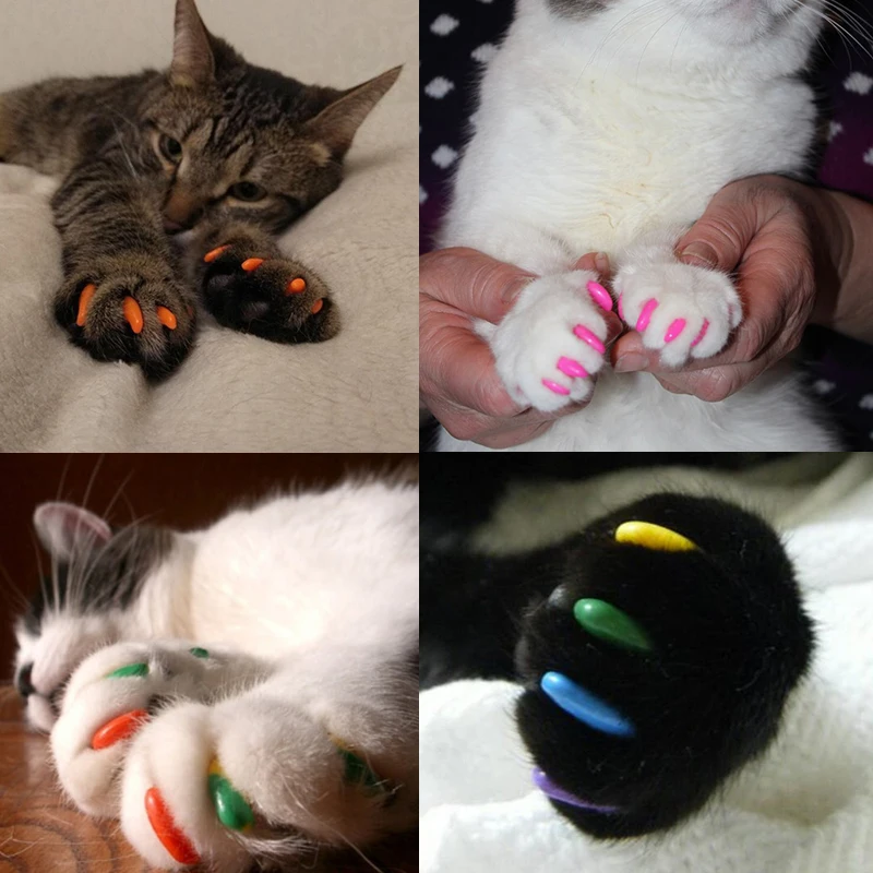 100pcs/lot Soft Silicone Cat nail Caps Control Pet Paw Claw Nail Protecter Grooming Size XS S M L 6
