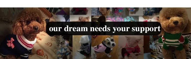 our dream needs your support