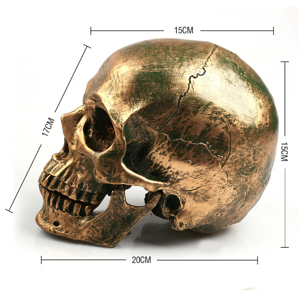 

Crafts Arts Crafts Human Skull Resin Crafts Life Size 1:1 Model Modern Home Decor Imitation Metal Decorative Skull