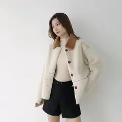 2018 зимнее короткое дизайнерское женское внешнее пальто модное с отложным воротником свободное утепленное Женское пальто простая верхняя