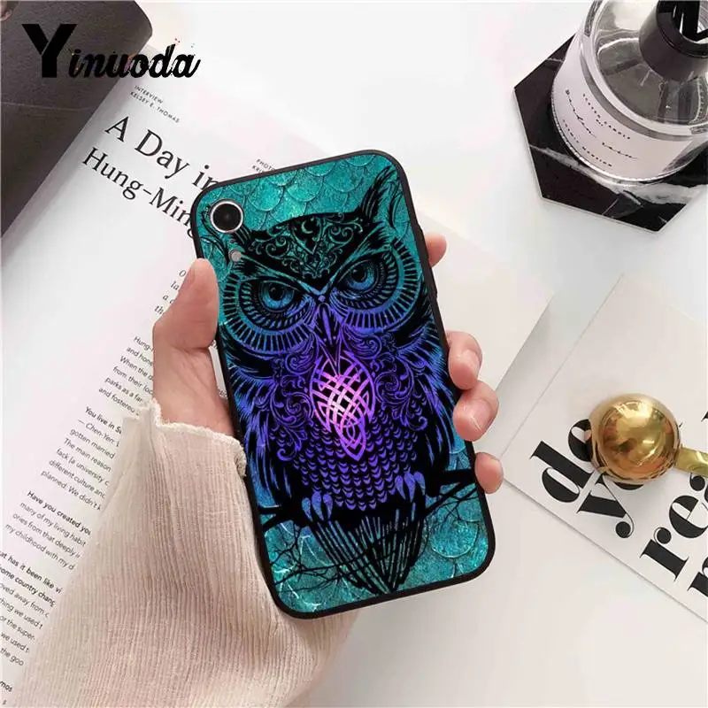 Cool  Owl  Cartoon Painted
