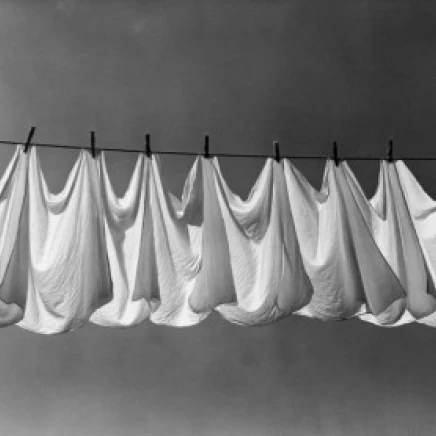 Close-up of diapers hanging on a clothesline Poster Print (18 x 24)