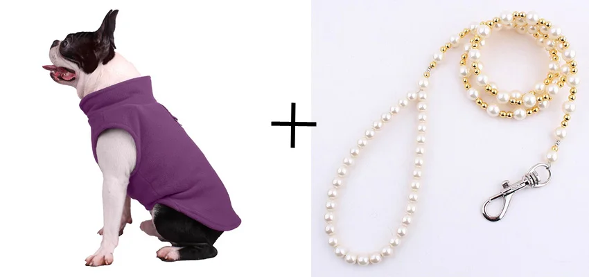 purple-1