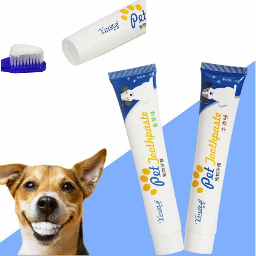 dog teeth cleaning supplies