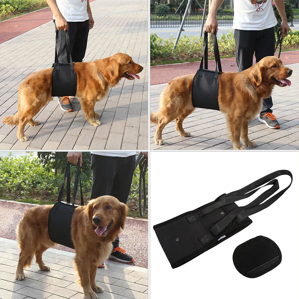 Pet Dog Assists Harness with Handle Pet Chest Strap Lift Support