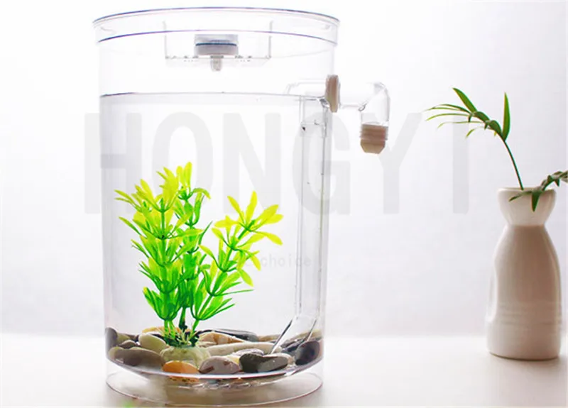 _2018-08-15T08-30-49.478Z