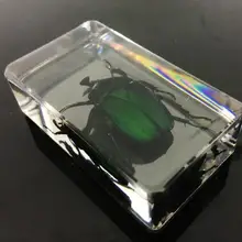 Китайский из прозрачного акрила Lucite Insect коллекция Роза соломинка Жук пресс-папье