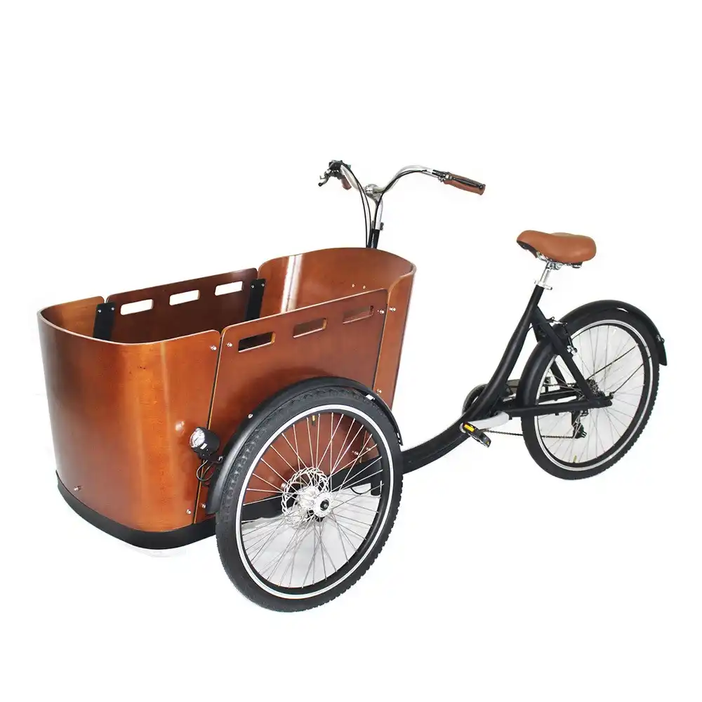 cargo bike aliexpress