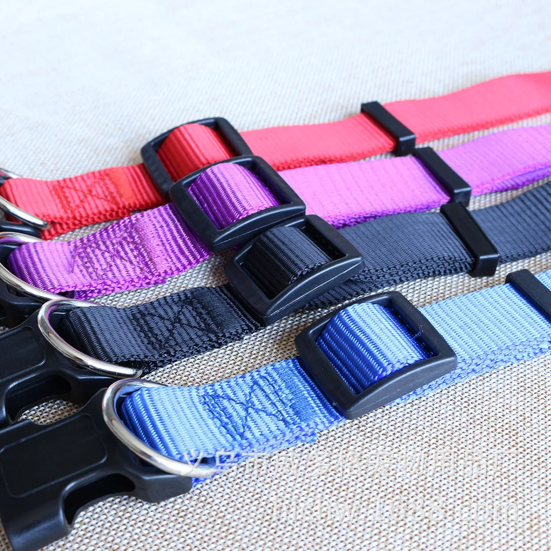 A single plain nylon collar