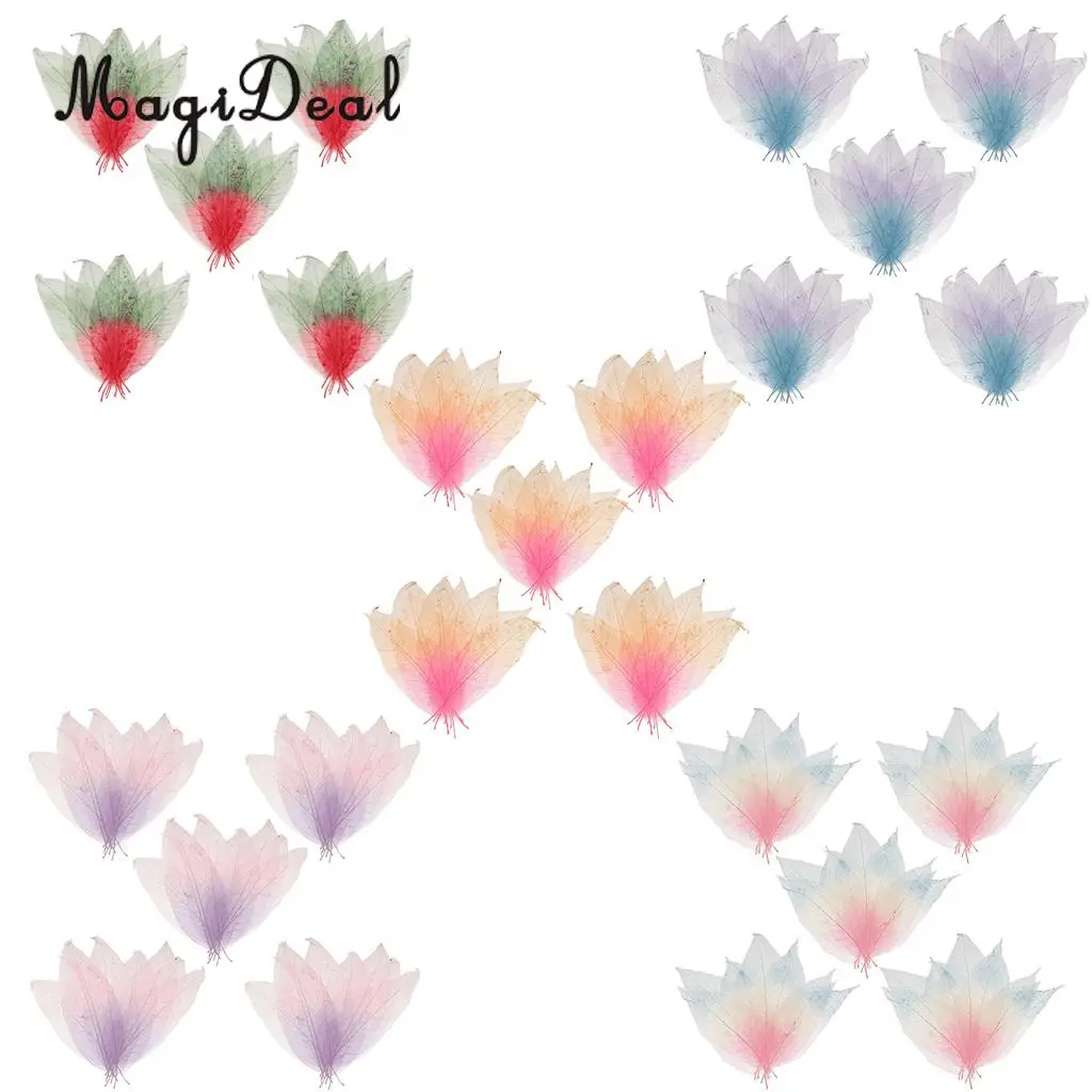 MagiDeal Beautiful 50Pcs Natural Magnolia Skeleton Leaf Leaves DIY Crafts for Scrapbooking Flower Making Lampshades Wall Decor