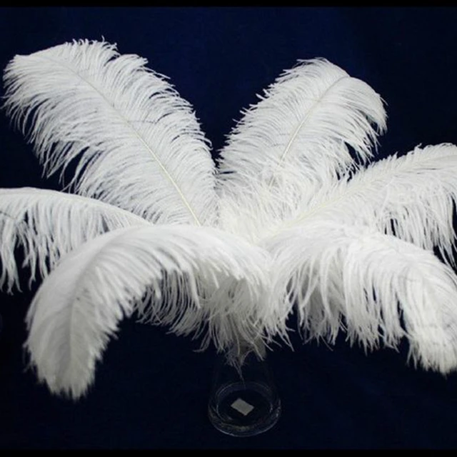 10pcs 15cm-20cm White Natural Ostrich Feathers For Vase Decoration Carnival  Wedding Accessories Feather For Crafts Wholesale - Feather - AliExpress