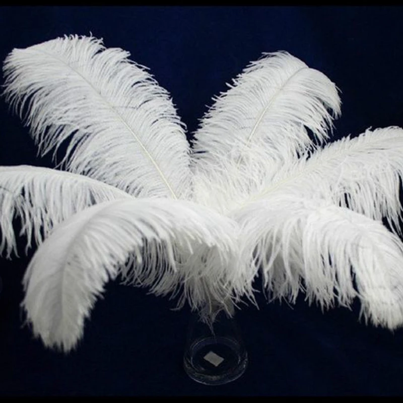 Wholasale 10pcs/lot Elegant White ostrich feathers 15 75cm for craft