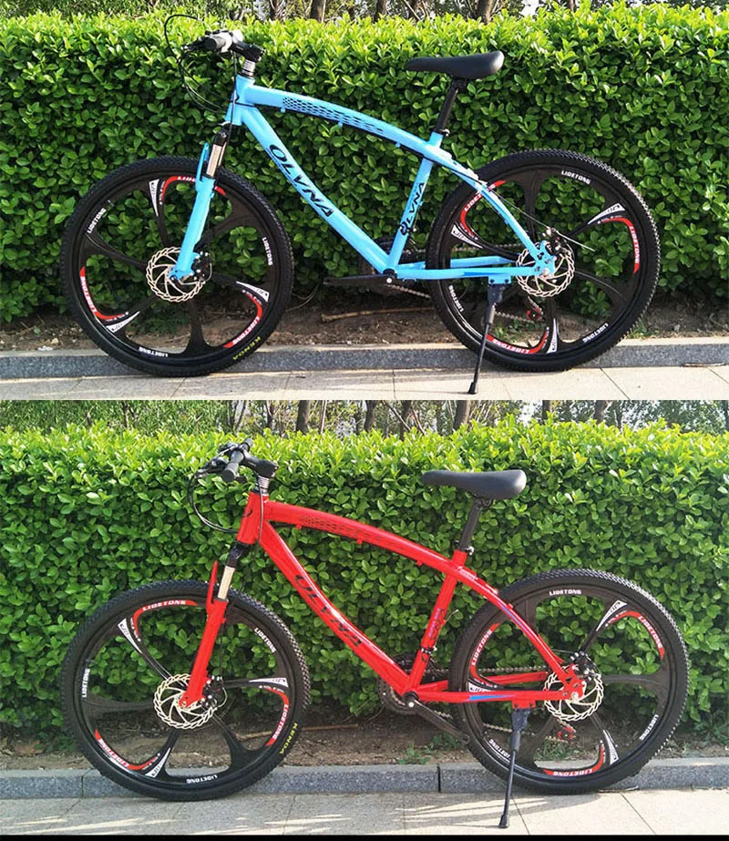 Flash Deal Carbon Steel A Mountain Country Bicycle Foldable X6 One Round A Mountain Country Vehicle Adult Bmw Rack Type 12