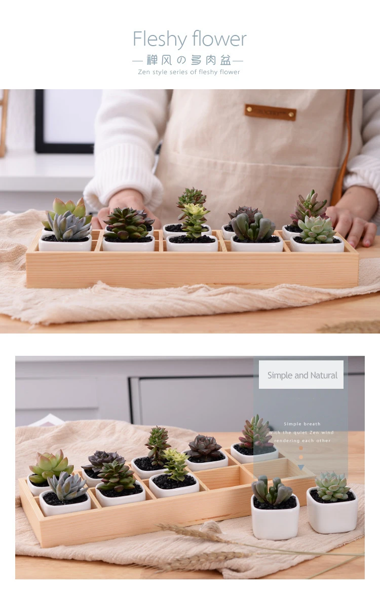 3814356221_675057837