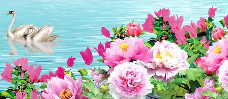 QQ20170708233746