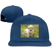 Профессиональный унисекс Snapback Регулируемая Кепка для грузовика спортивная шапка для путешествий натуральный золотой ретривер бейсболка Плоская Шляпа(1