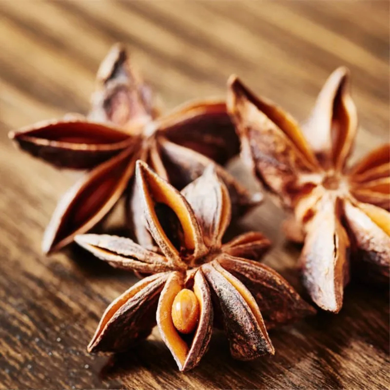 

10g Illicium verum bonsai Illicium verum is a famous spice for home Kitchen spice garden plants