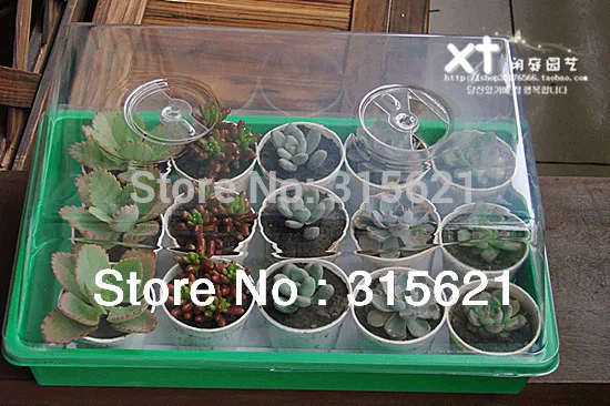

Seedling box germinating box nursery trays with Vent Size 38*24*18cm