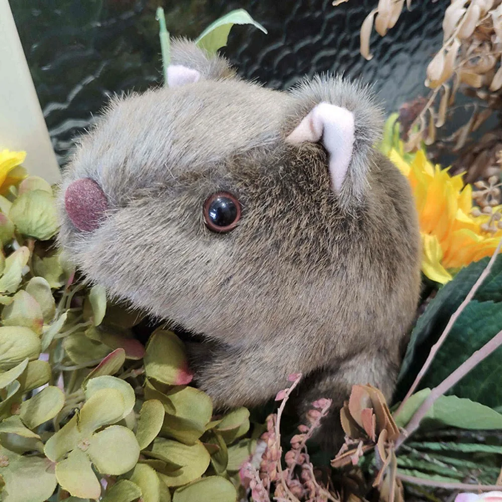 1 шт. 18 см Моделирование Плюшевые вомбат свинки Cavia Porcellus игрушка чучело дикие животные куклы игрушки для малышей, детей подарок Декор для дома, магазина