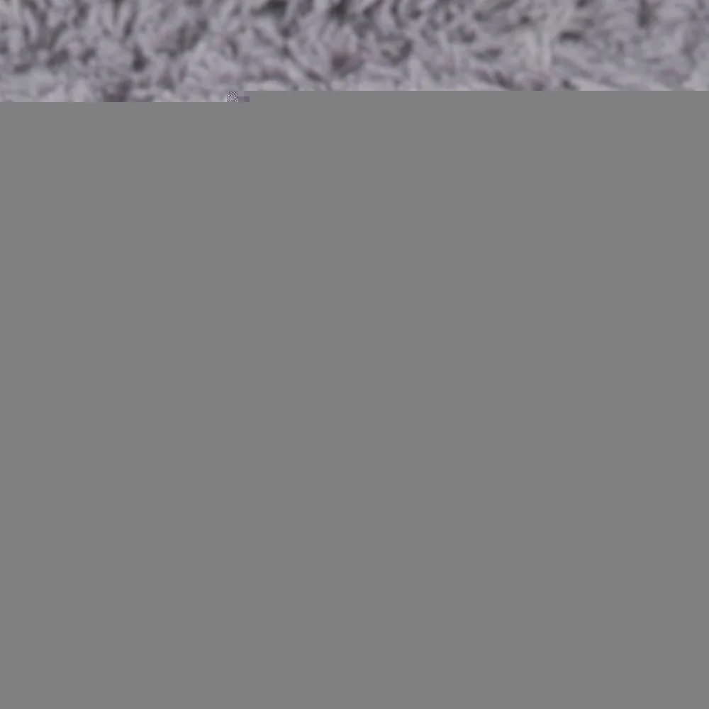 ZP4981901-C-4-1
