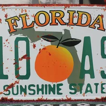 Горячие продаж xdcp-214 Винтаж номерной знак "Флорида B10 ASP" Олово Признаки плакат Книги по искусству домашнего декора Дом Кафе-бар из металла стены Книги по искусству 15x30 см